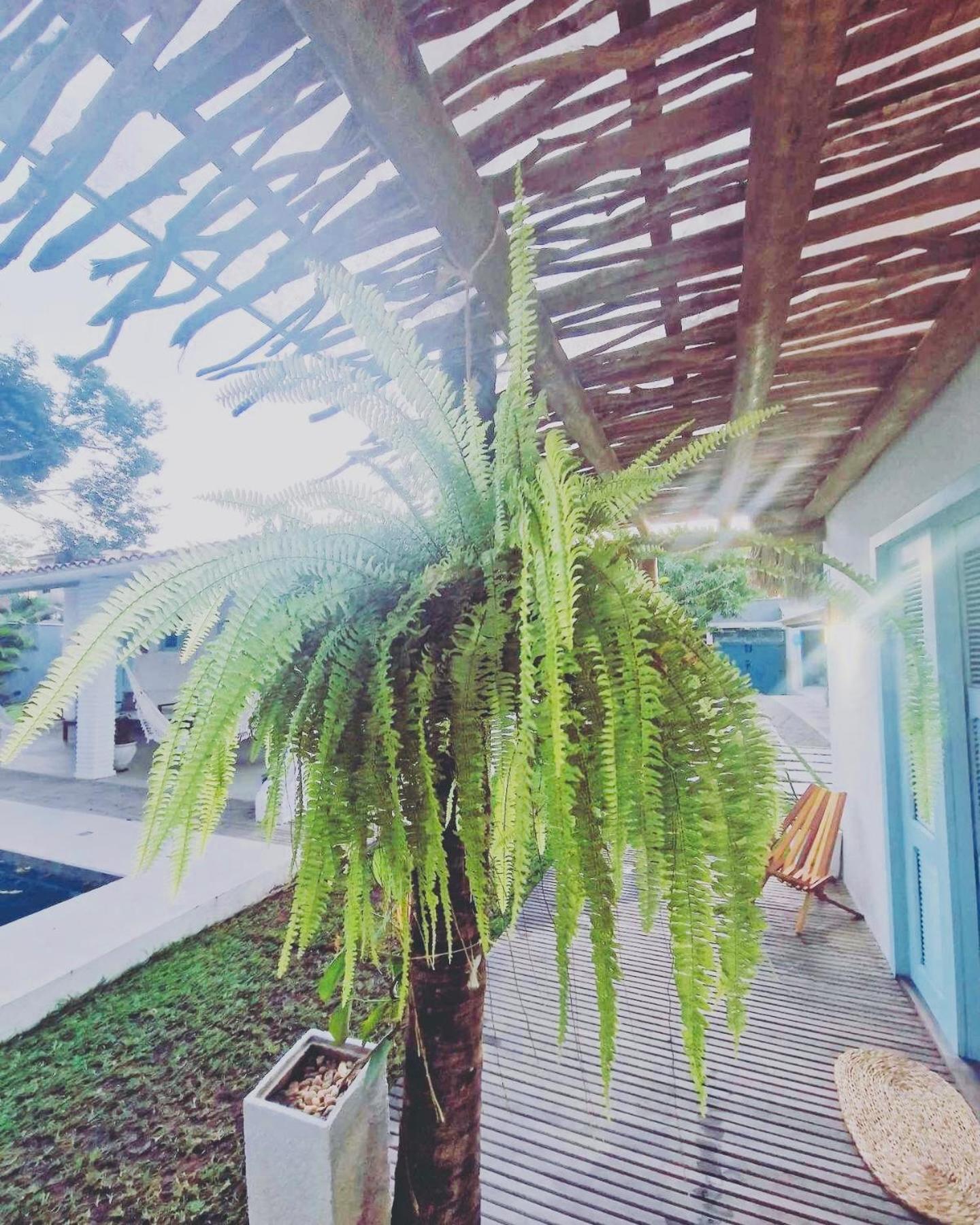 Villa Parazinho 帕拉库鲁 外观 照片