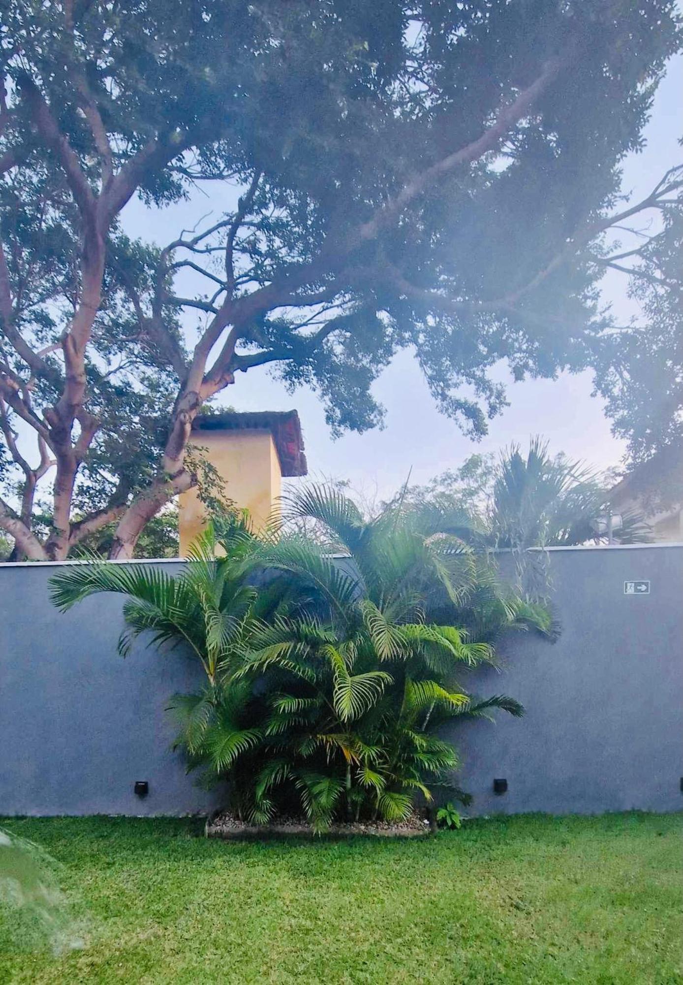 Villa Parazinho 帕拉库鲁 外观 照片